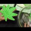 Pulsar Silicone Spatula