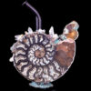 Envy Glass "Ammonite" Heady Dab Rig Envy Glass "Ammonite" Heady Dab Rig