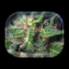 V Syndicate Metal Rolling Tray