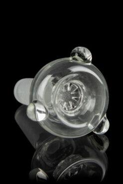 Honeybee Herb Bubble Flower Bowl
