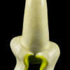 Art of Smoke Banana Pipe