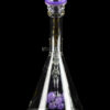 "Phorbas" Cool Spore Perc Beaker Bong "Phorbas" Cool Spore Perc Beaker Bong