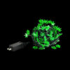Pulsar Mini High Lights Hemp Leaf LED String Light Set Pulsar Mini High Lights Hemp Leaf LED String Light Set