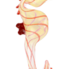 Seahorse Glass Hand Pipe Seahorse Glass Hand Pipe