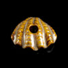 Art of Smoke Clamshell Pipe Art of Smoke Clamshell Pipe