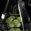 "Phorbas" Cool Spore Perc Beaker Bong "Phorbas" Cool Spore Perc Beaker Bong