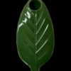 Art of Smoke Leaf Pipe