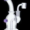 Assorted Mini Dab Rig